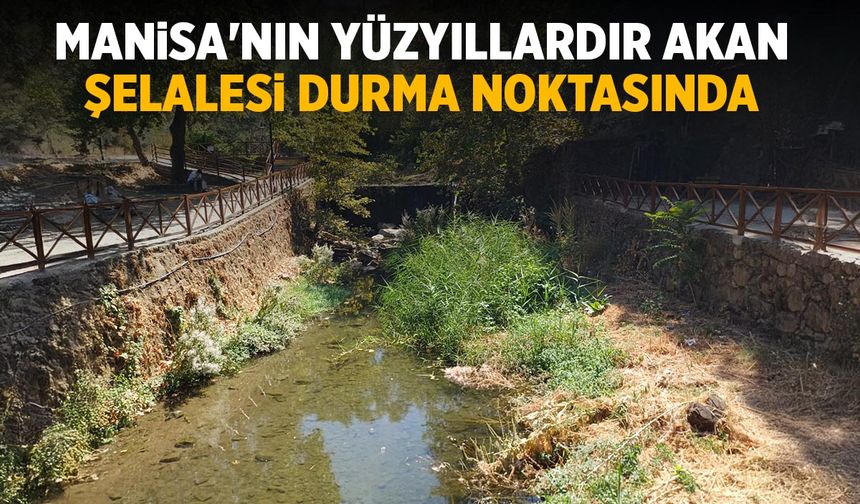 Kurşunlu Şelalesi Can Çekişiyor