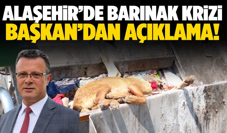 Alaşehir’de tepki çeken barınak görüntülerine başkandan açıklama!