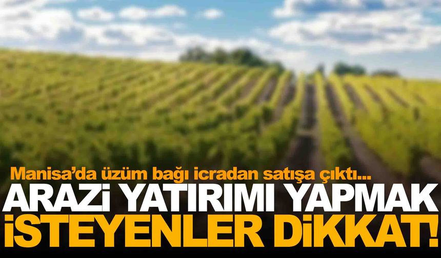Arazi yatırımı yapmak isteyenler dikkat… 2 bin 200 metre bağ icradan satılıyor