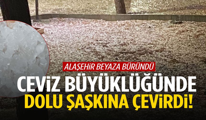 Alaşehir’de dolu şaşkınlığı... Bir anda bastırdı, her yer bembeyaz oldu!