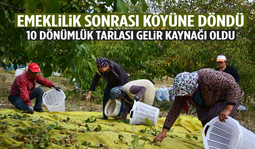 Emeklilik sonrası köyüne döndü… 10 dönümlük tarlası gelir kaynağı oldu!