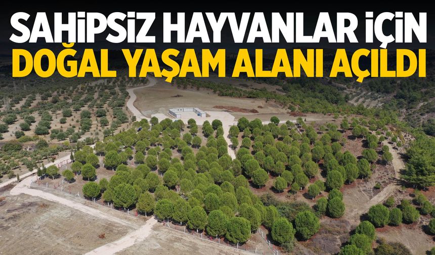 Manisa’nın ilçesinde 4.500 kapasiteli hayvan barınağı hizmete girdi!