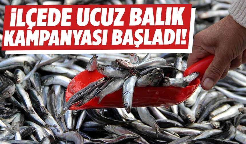 Manisa’nın ilçesinde ucuz balık kampanyası başladı!