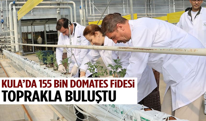 Kula’da jeotermal serada yeni sezon başladı!