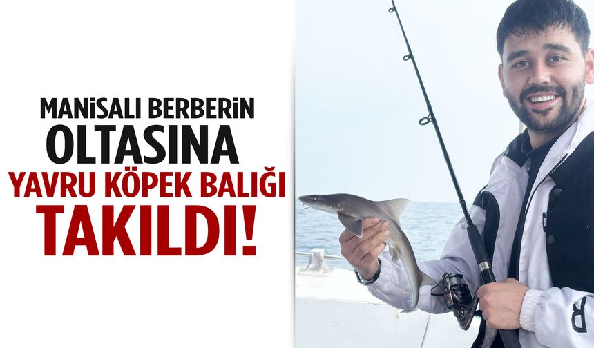 Manisalı berbere İzmir’de sürpriz: Oltaya yavru köpek balığı takıldı