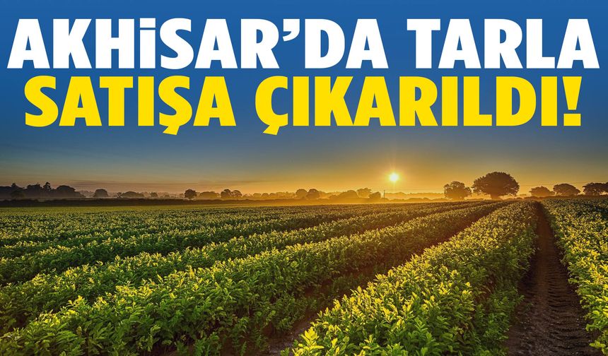 Akhisar’da satılık tarla sahibini bekliyor!