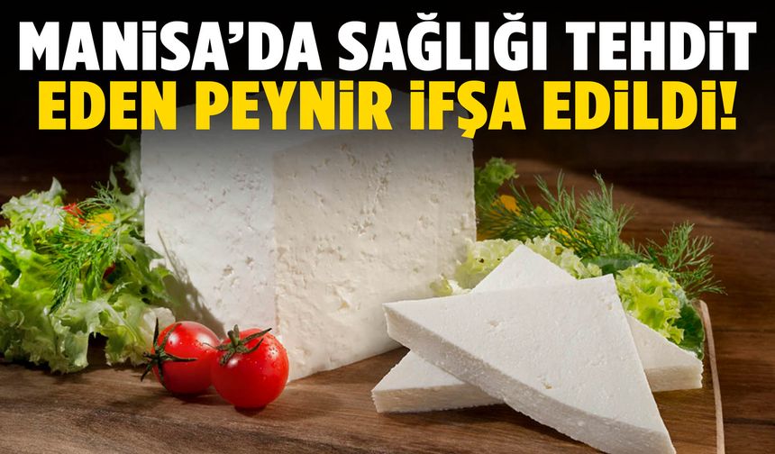 Manisa'da sağlığı tehdit eden peynir ifşa edildi!