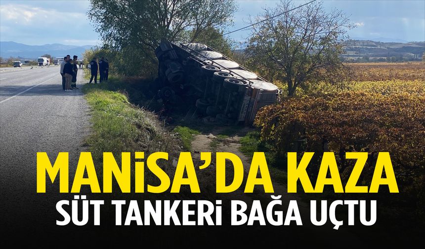 Manisa’da süt tankeri üzüm bağına uçtu! Sürücü kendi imkanlarıyla kurtuldu…