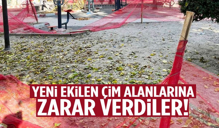 Turgutlu’da yeni ekilen çim alanlarına zarar verdiler!