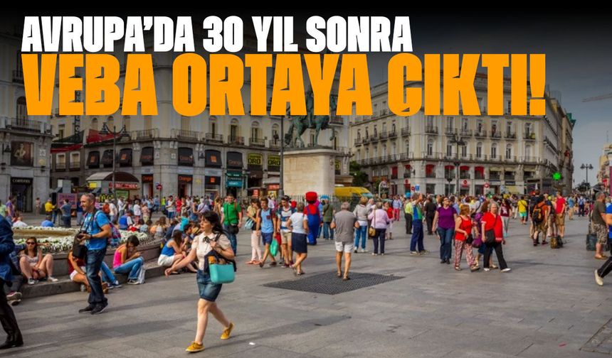 Avrupa’da 30 yıl sonra veba ortaya çıktı! Ordu göreve çağrıldı…