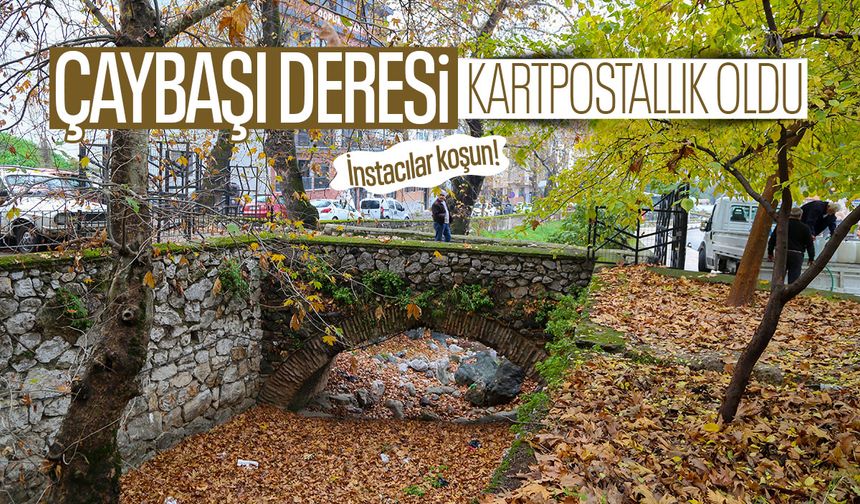 Çaybaşı Deresi, Instagram'a düşmeyi bekliyor