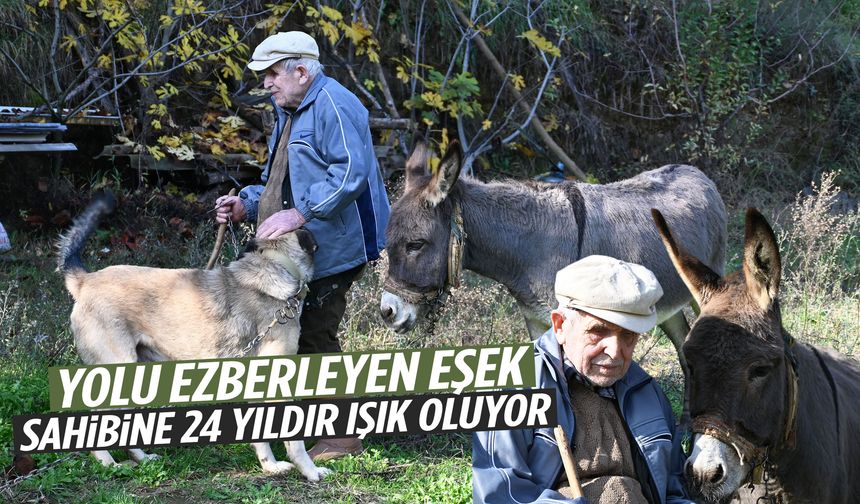 Manisa’da Raif dede 24 yıldır karanlığı Magare ile aşıyor!