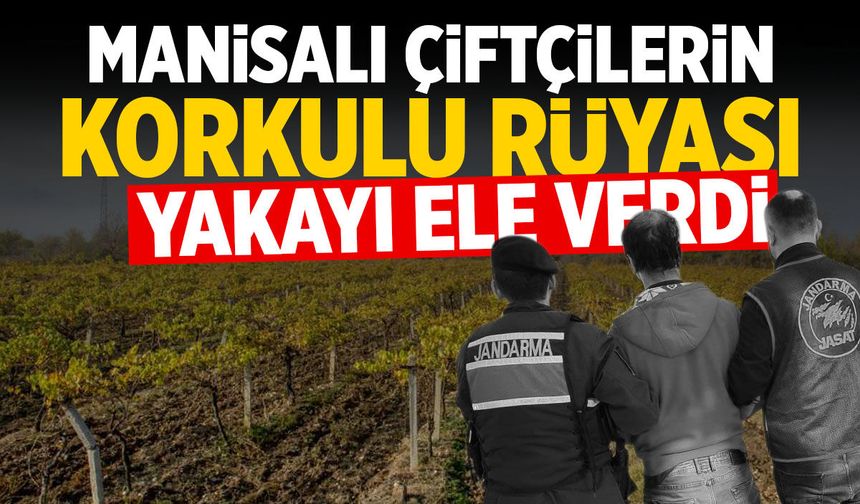 Manisalı çiftçilerin korkulu rüyası yakalandı