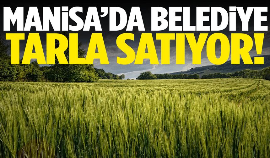 Yatırımcılar dikkat! Manisa’da belediye tarla satıyor!