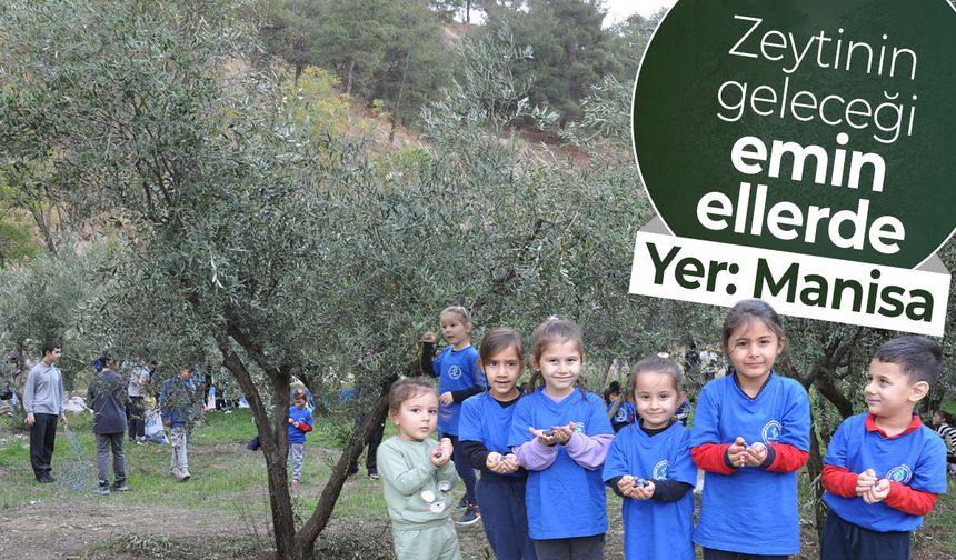 Zeytinin geleceği emin ellerde