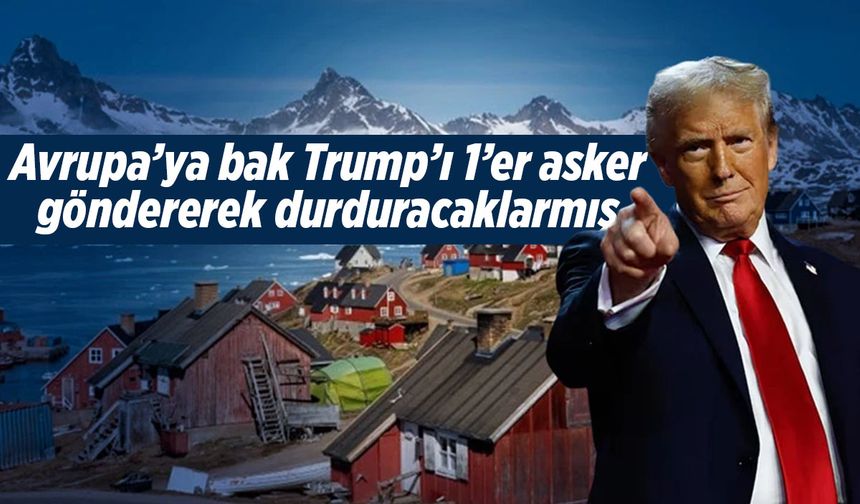 İngiltere ve Hollanda, Grönland'a birer asker gönderdi