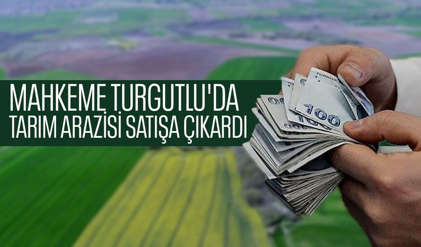 Mahkeme Turgutlu'da tarım arazisi satışa çıkardı