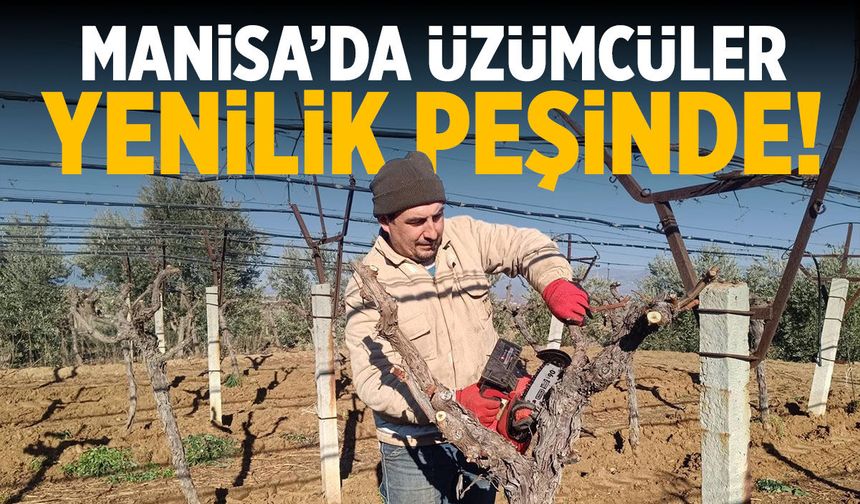 Manisa üzüm üreticileri yenilik peşine düştü!