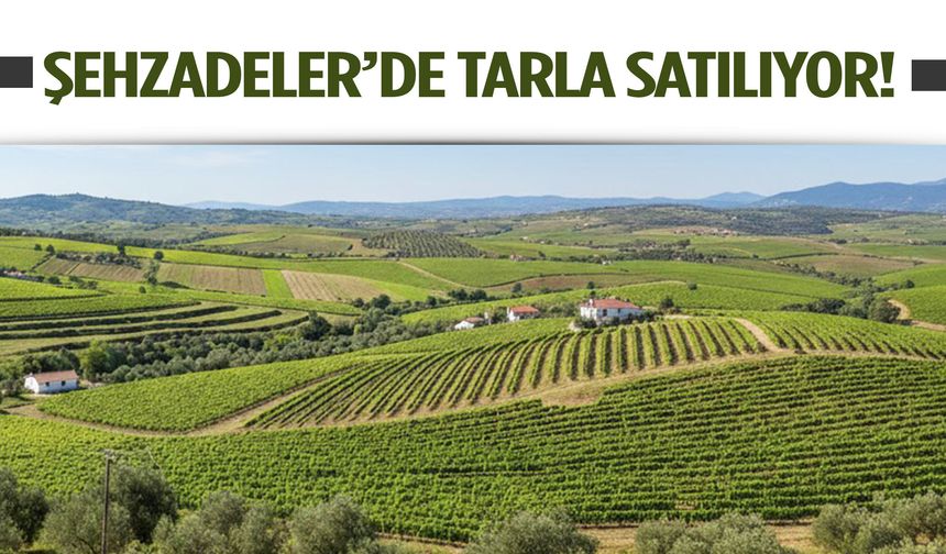 Yatırımcılar dikkat! Şehzadeler’de tarla satışa çıktı