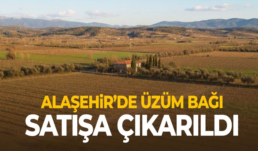 Alaşehir’de üzüm bağı satışa çıkarıldı