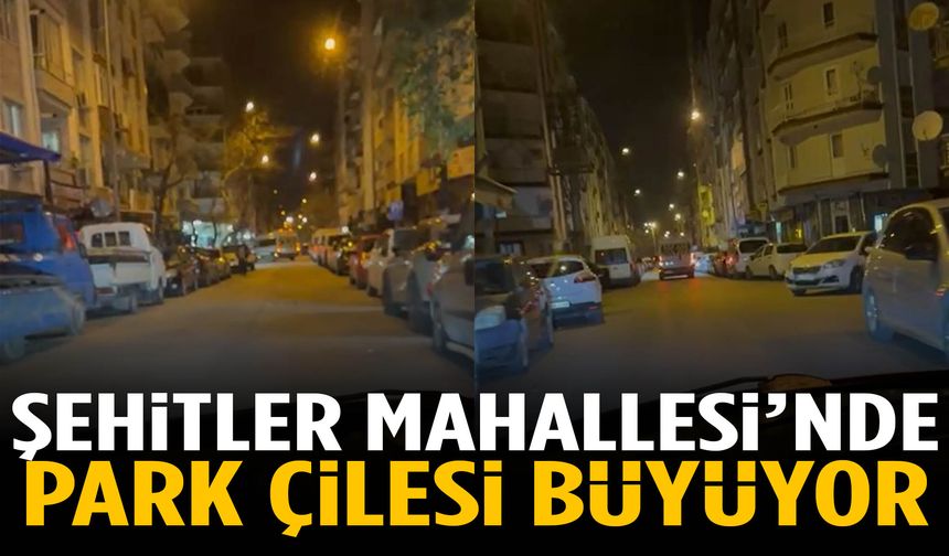 Şehitler Mahallesi’nde park çilesi büyüyor