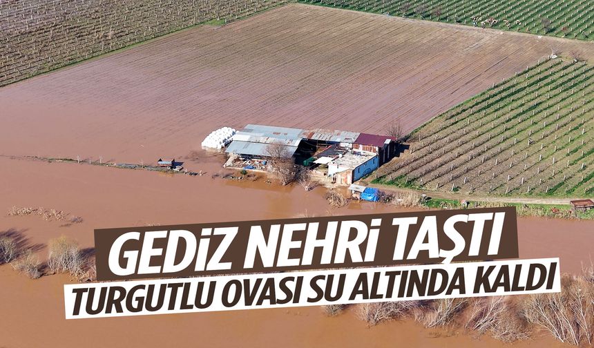 Gediz Nehri taştı… Turgutlu Ovası su altında kaldı!