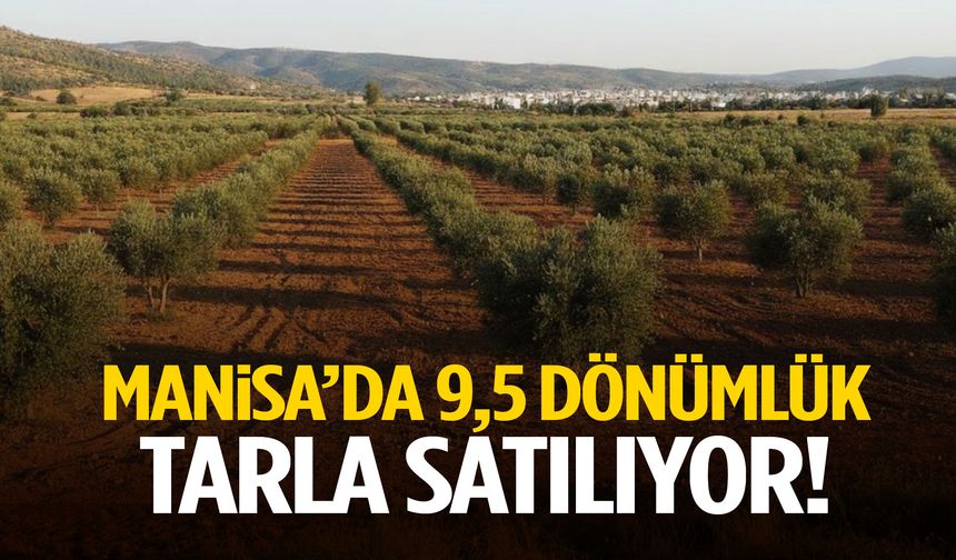 Manisa’da 9,5 dönümlük tarla satılıyor!