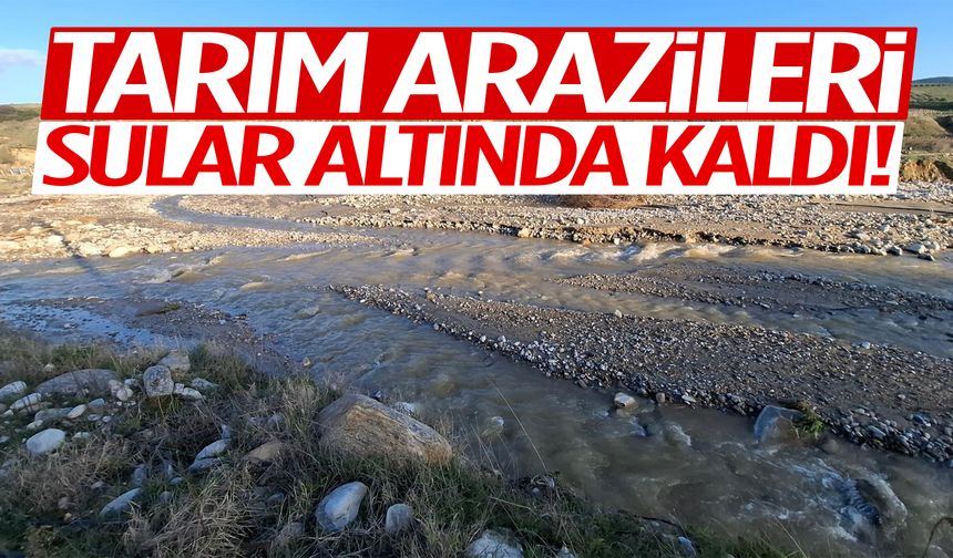 Manisa’da tarım arazileri sular altında kaldı!