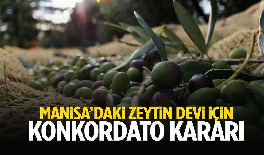 Manisa’daki zeytin devi için konkordato kararı!