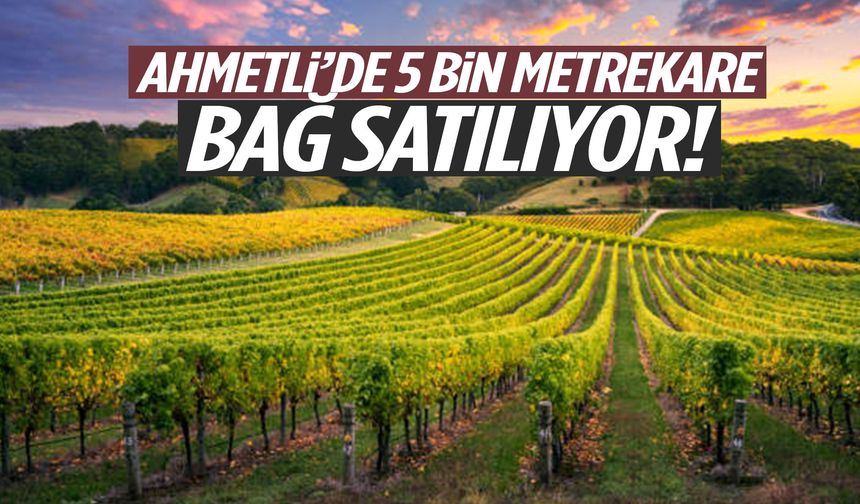 Ahmetli’de 5 bin metrekare bağ satılıyor!