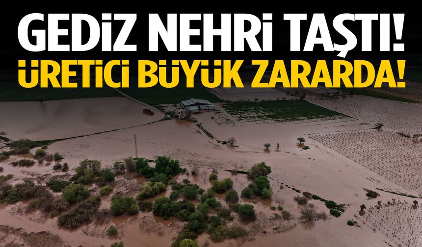 Gediz nehri taştı: Bağlar sele teslim oldu!