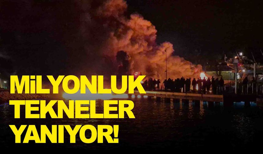 Bodrum’da milyonluk tekneler alevlere teslim oldu