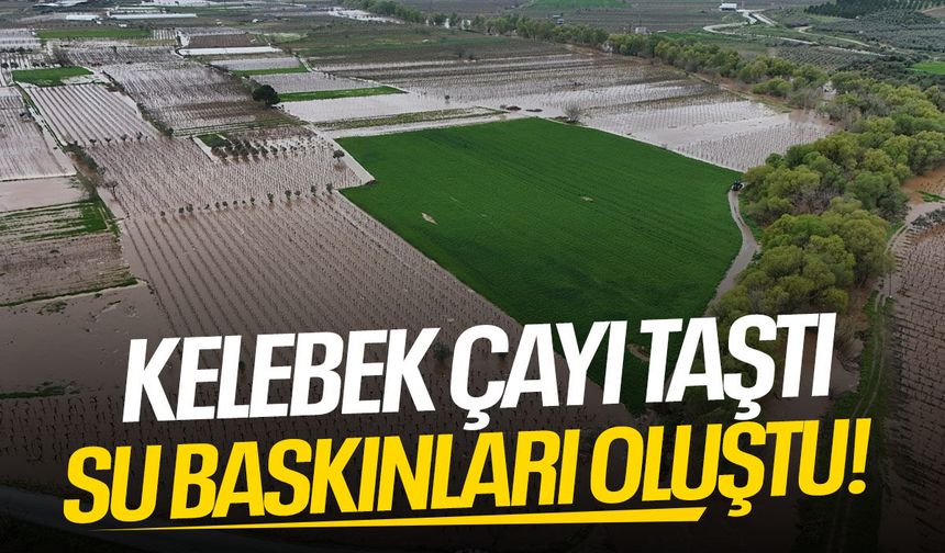 Kelebek Çayı taştı: Su baskınları yaşandı