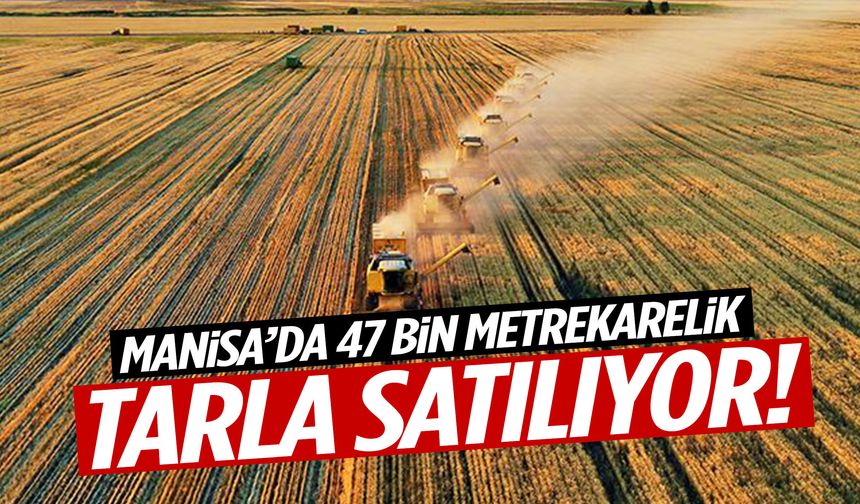 Manisa’da 47 bin metrekarelik tarla satılıyor!