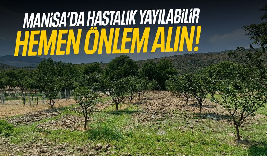Manisa’da hastalık yayılabilir… Hemen önlem alın!