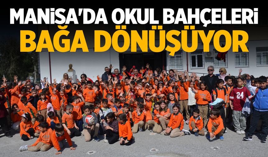 Manisa'da okul bahçeleri bağa dönüştü