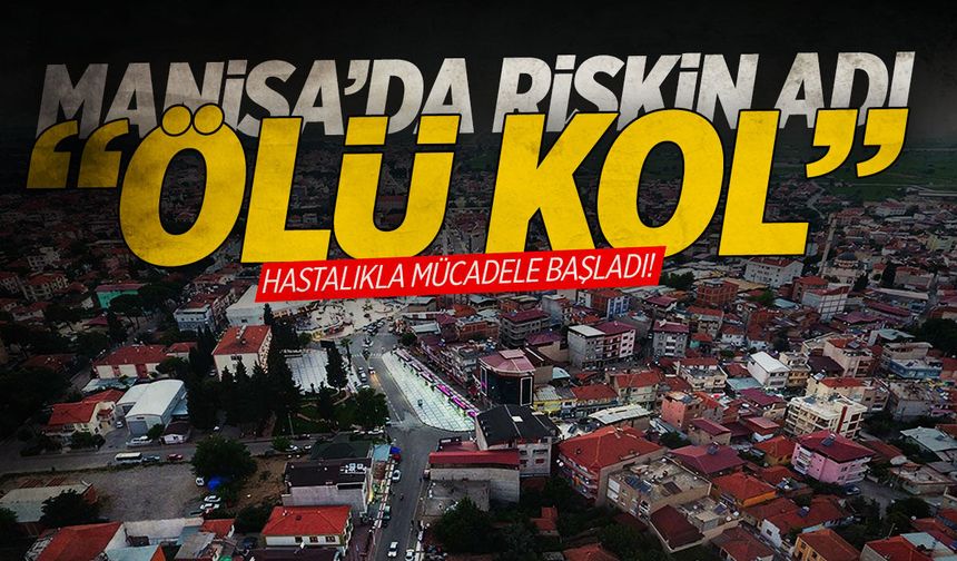 Manisa’da ‘ölü kol’ hastalığı… Mücadele başladı!