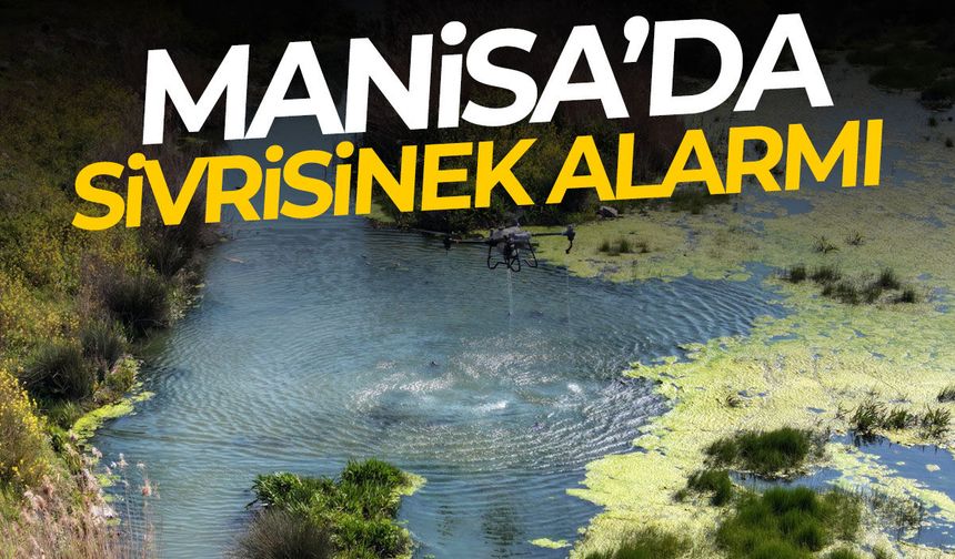 Manisa’da sivrisinek alarmı