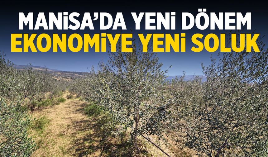 Manisa'da yeni trend! Ekonomiye yeni soluk getirdi