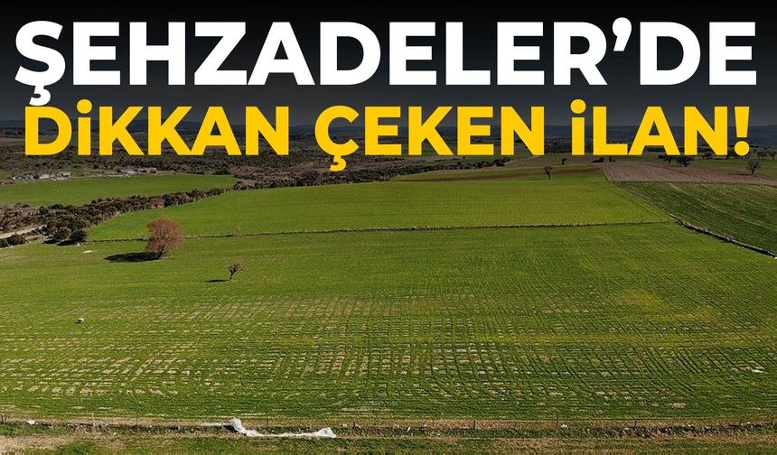 Şehzadeler’de dikkat çeken ilan! Detaylar belli oldu…