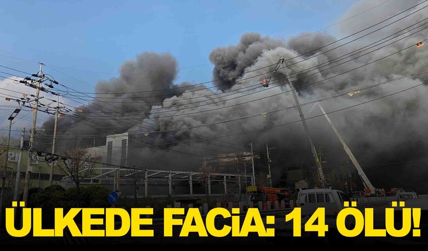 Güney Kore’de fabrika faciası: 14 kişi hayatını kaybetti