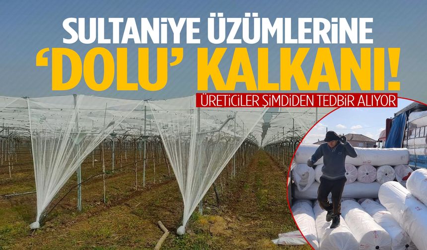 Sultaniye üzümlerine ‘dolu’ kalkanı!