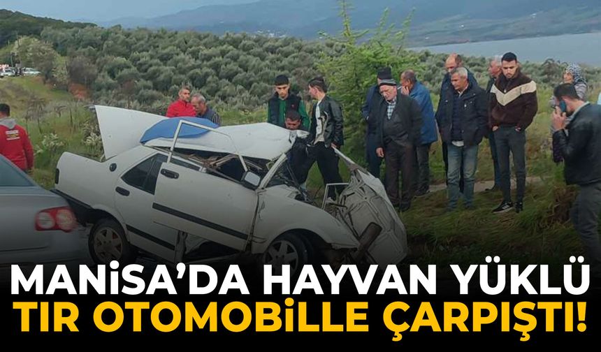 Manisa’da canlı hayvan yüklü tır ile otomobil çarpıştı!