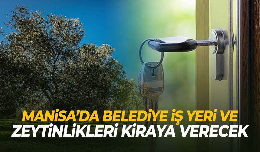 Manisa’da belediye iş yeri ve zeytinlikleri kiraya verecek!