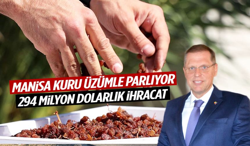 Kuru üzümün merkezi Manisa’dan 294 milyon dolarlık ihracat!