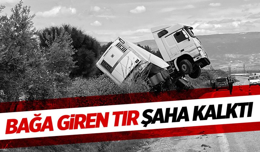 Manisa karayolunda tır şaha kalktı