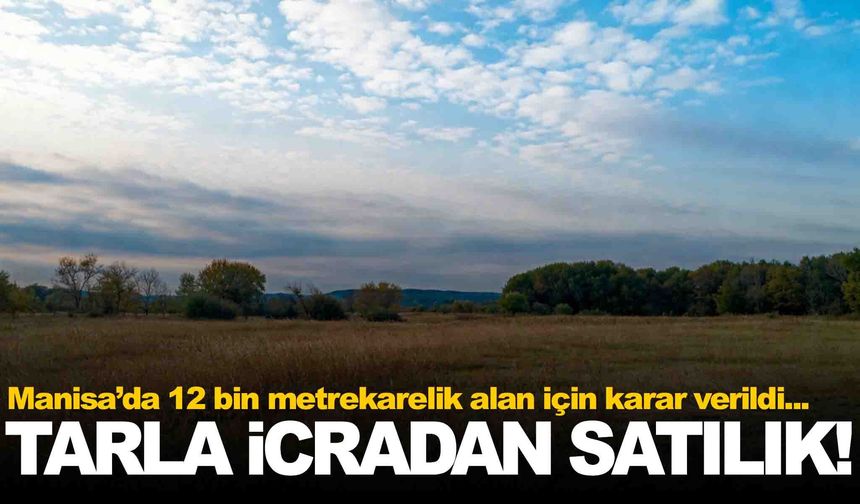 Manisa’da 12 bin metrekarelik tarla icradan satılıyor!