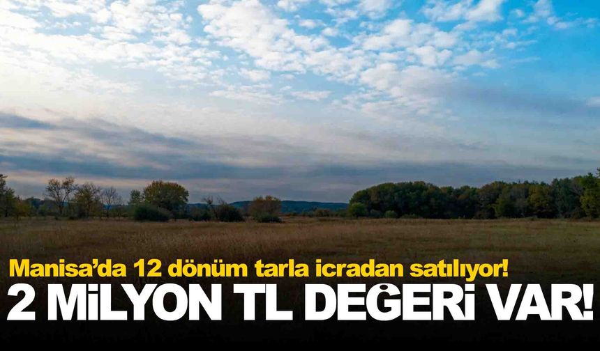 Manisa’da 12 dönüm tarla icradan satılıyor!