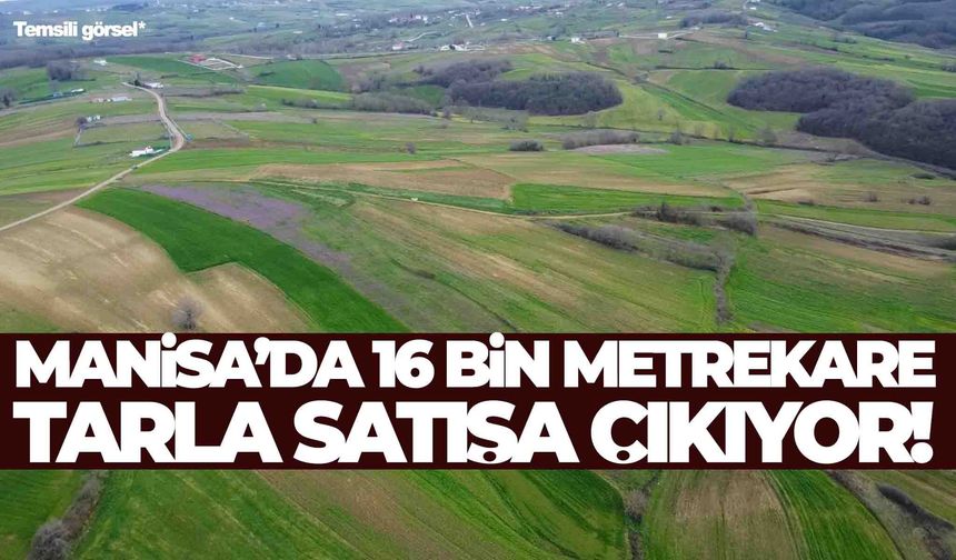 Manisa Salihli’de 16 bin metrekare tarla satışta!
