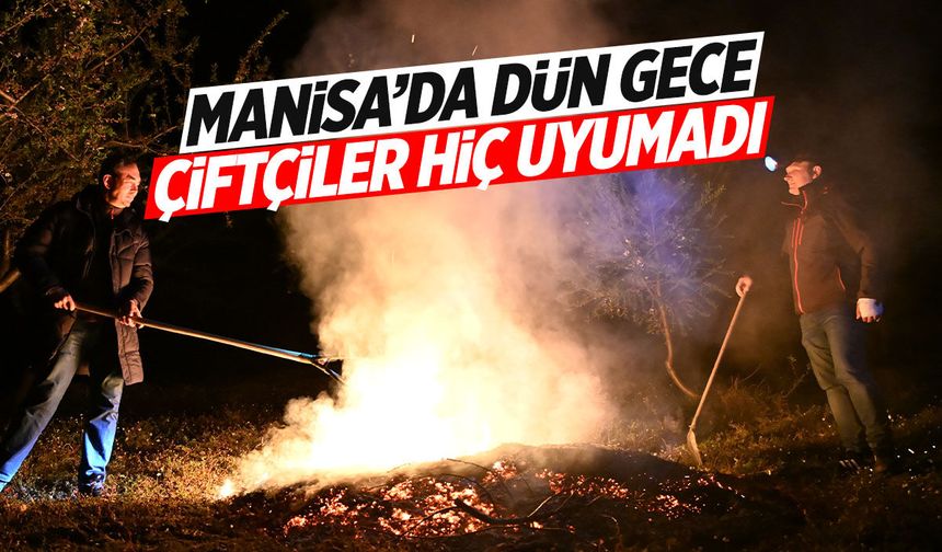 Manisa'da çiftçiler dün gece uyumadı
